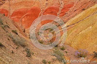 Colourful rocks of Skazka Fairy tale rainbow canyon,Kyrgyzstan Stock Photo