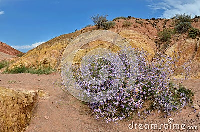 Colourful sandy rock formations of Skazka canyon,Issy-Kul Stock Photo