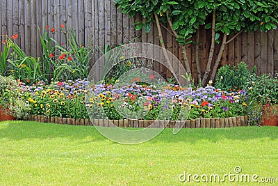Colourful Summer Bedding Flowers And Shrubs Stock Photo