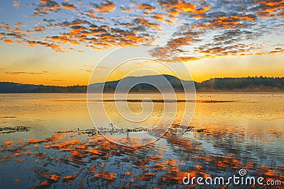 Colourful sunrise at Lake Moogerah in Queensland Stock Photo