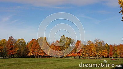 Colourful tree line of trees in autumn Stock Photo