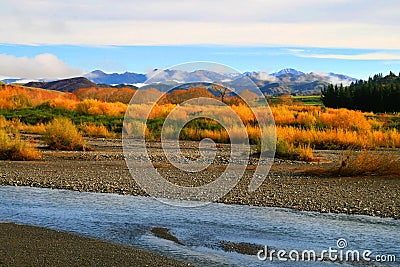 Colourful wild autumn landscape of river, nature bushes and mountains on background Stock Photo