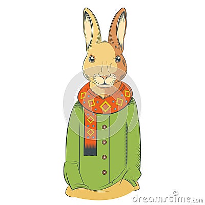 Colourful winter Hare Vector Illustration