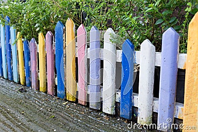 Colourful wood fence in small garden Stock Photo