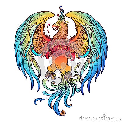 Colourfull and intricate drawing of the legendary Phoenix bird. Brightly colored linear drawing isolated on white Vector Illustration