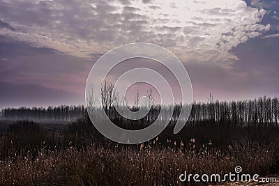 Colours of winter Stock Photo