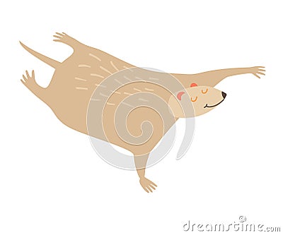 Colugo dolphin icon vector illustration Vector Illustration