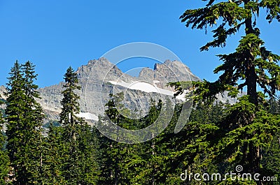 Columbia Peak in the background of fur trees in Henry M. Jackson Wilderness, Washington Stock Photo