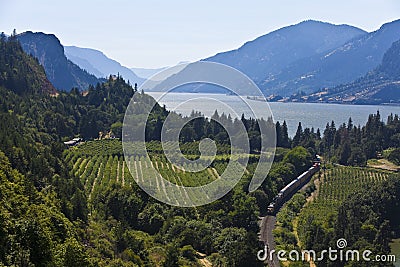 Columbia River Gorge Stock Photo