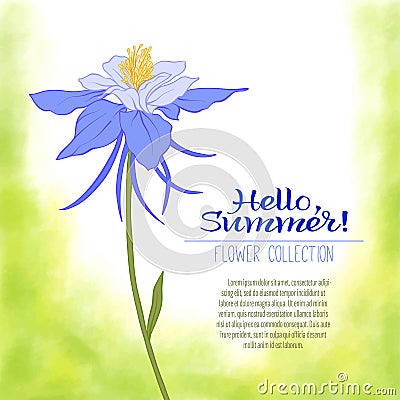 A Columbine flower on a green watercolor background. The flowers Vector Illustration