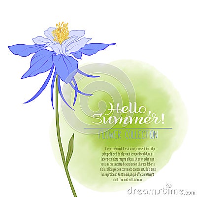 A Columbine flower on a green watercolor background. The flowers Vector Illustration