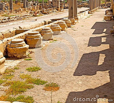the column old stone in perge construction asia turkey Stock Photo