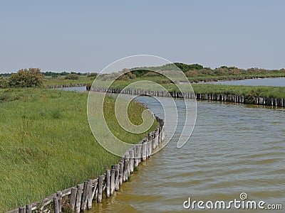 Comacchio Lagoons boat trip Stock Photo