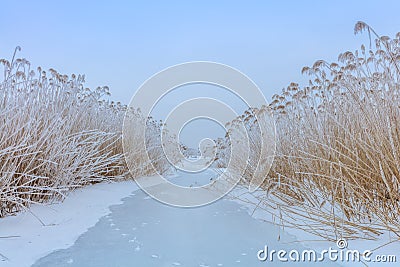 Comana lake in winter Stock Photo