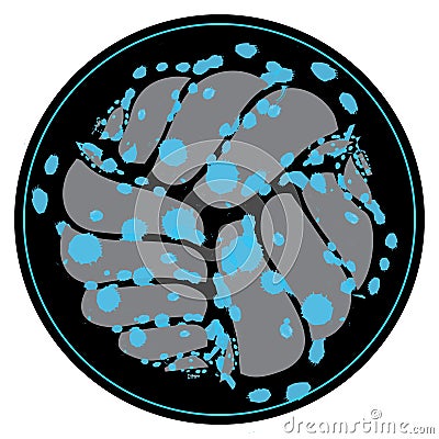 Combination of the three shells in black circle Vector Illustration