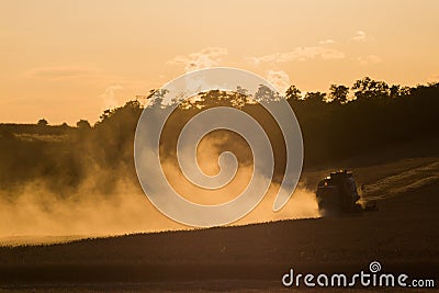 Combine harvested grain at sunset Stock Photo