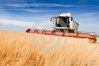 Combine harvester Stock Photo