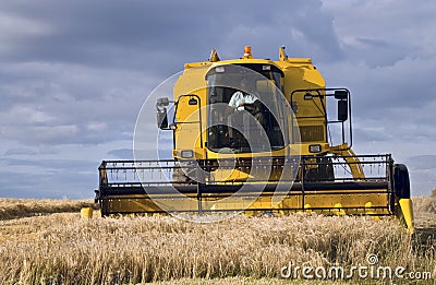 Combine Harvester Stock Photo