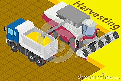 Combine harvester collect wheat in the field Vector Illustration