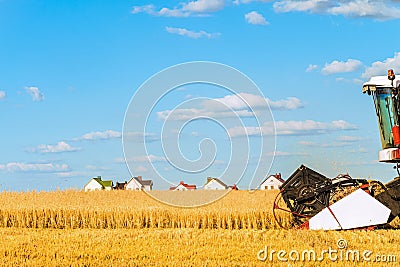 Combine harvester with cutter platform at work Stock Photo