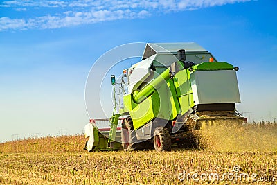 Combine harvester harvesting soybean at field. Stock Photo