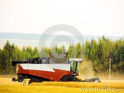 Combine harvester harvests grain on the field Stock Photo