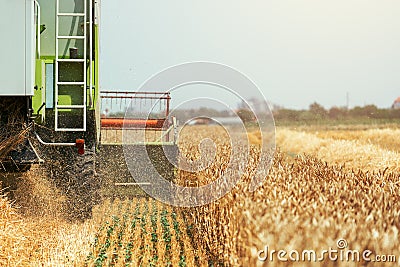 Combine harvester machine harvesting ripe wheat crops Stock Photo