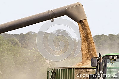 Combine harvester offloading grain Stock Photo