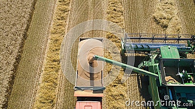 Combine harvester on wheat field Editorial Stock Photo