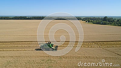 Combine harvester on wheat field Editorial Stock Photo