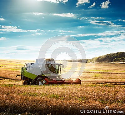 Combine Harvester on a Wheat Field Stock Photo