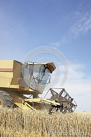 Combine Harvester Working In Field Stock Photo