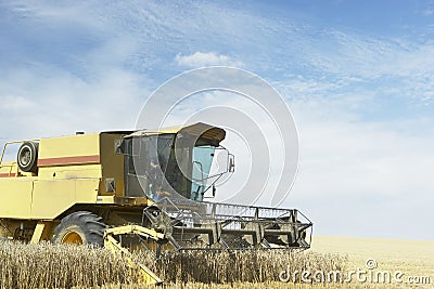 Combine Harvester Working In Field Stock Photo