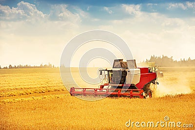 Combine harvester working on golden cereal field Stock Photo