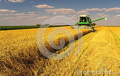 Combine harvester working on the wheat field Stock Photo