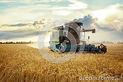 Combine harvester working on a wheat field. On the Sunset Stock Photo