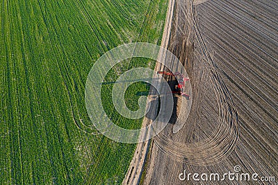 Combine harvesters harvest of sugar beet at summer evening Stock Photo