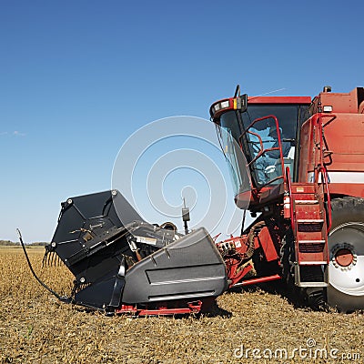 Combine harvesting soybeans Stock Photo