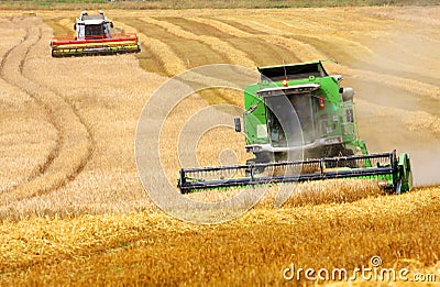 Combine harvesting wheat Stock Photo