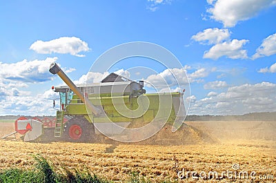 Combine harvesting wheat Stock Photo
