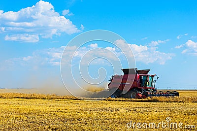 Combine harvesting wheat Stock Photo