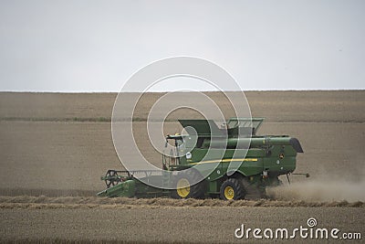 The combine harvests the ripe golden wheat in the grain field. Agricultural work in summer. Editorial Stock Photo