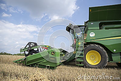 The combine harvests the ripe golden wheat in the grain field. Agricultural work in summer. Editorial Stock Photo