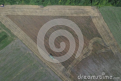The combine harvests ripe wheat in the grain field. Agriculture. Aerial view. From above. Editorial Stock Photo