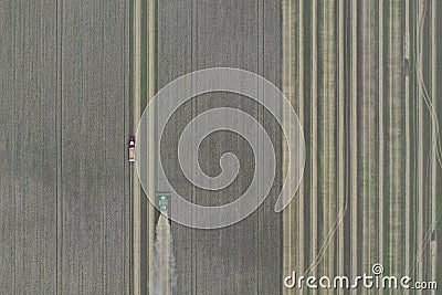 The combine harvests ripe wheat in the grain field. Agriculture. Aerial view. From above. Editorial Stock Photo