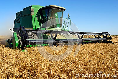 Combine harveting Stock Photo