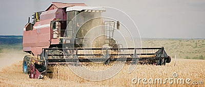 Combine mower mechanism cuts spikelets wheat. Agricultural harvesting work. harvester moves field Stock Photo