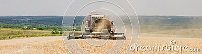 Combine mower mechanism cuts spikelets wheat. Agricultural harvesting work. harvester moves field Stock Photo