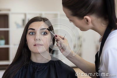 Combing the eyebrows with a special brush Stock Photo