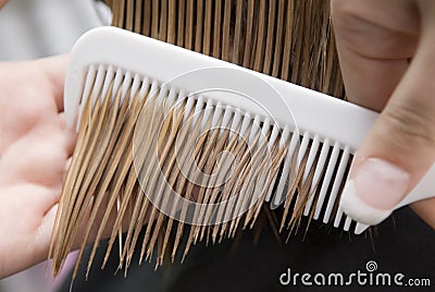 Combing of hair Stock Photo